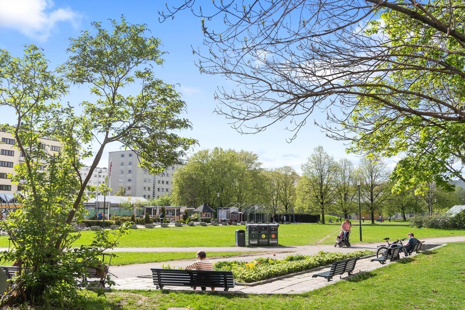 Modern In A Luxurious Area - Super Central - 6 Pax Oslo Buitenkant foto